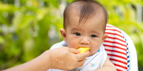 16 Buah untuk Bayi 7 Bulan yang Tinggi Zat Besi dan Vitamin C