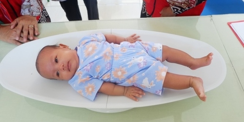 Berat badan bayi 10 bulan - Generasi Maju