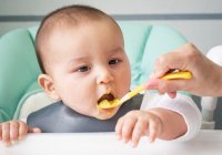 Panduan Pemberian MPASI untuk Bayi 7 Bulan dan Resepnya