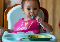 Pilihan Makanan Sehat untuk Anak 1 Tahun dan Tips Memberikannya