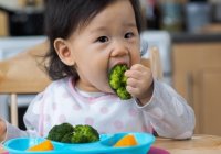 8 Sayuran yang Mengandung Protein Tinggi untuk Anak