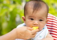 16 Buah untuk Bayi 7 Bulan yang Tinggi Zat Besi dan Vitamin C