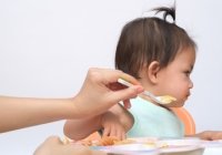 Bayi 11 bulan susah makan-sgm