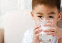 Minum obat setelah minum susu tanpa paham aturannya bisa membuat obat tidak bekerja efektif. Apa obat yang boleh dan tidak boleh diminum dengan susu?