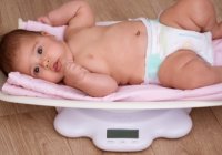 berat bayi 6 bulan - SGM. 