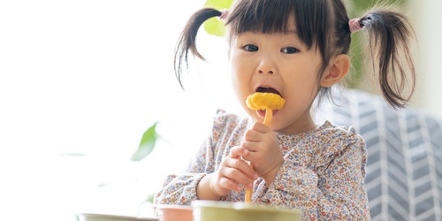 Contoh Jadwal Makan Anak 2 Tahun dan Cara Menyusunnya