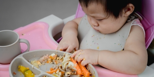 makanan bayi 8 bulan untuk kecerdasan otak-sgm