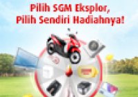 Program “Lucky Wheel Value Moms”